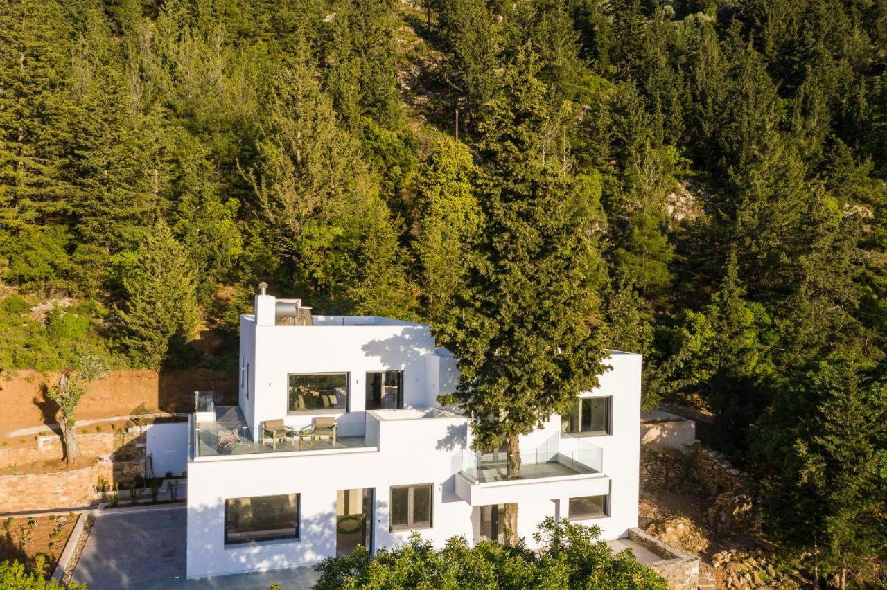 Forest View Villas 1 Lagoudi Zia Exterior foto